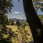 Luxusní stan Treehouse šumava
