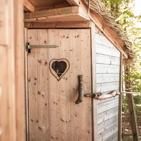 Treehouse Sumava 럭셔리텐트 *