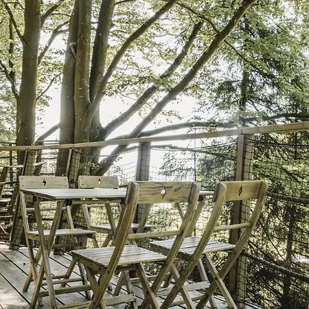 Treehouse Sumava