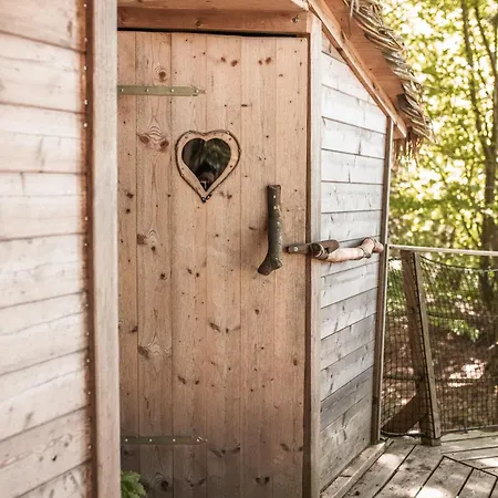 Treehouse Sumava * 프라차티체