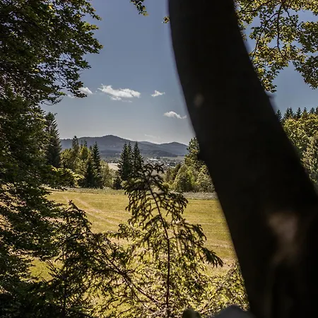 Campismo de Luxo Treehouse Sumava