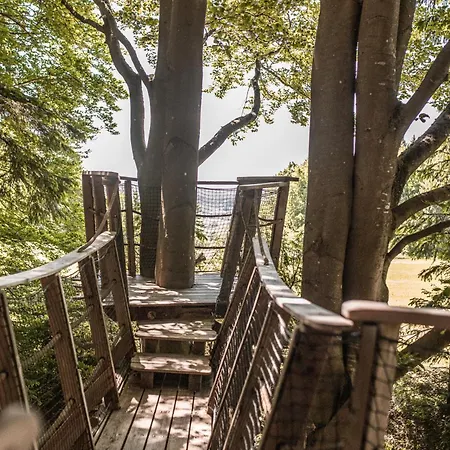 Treehouse Sumava 럭셔리텐트