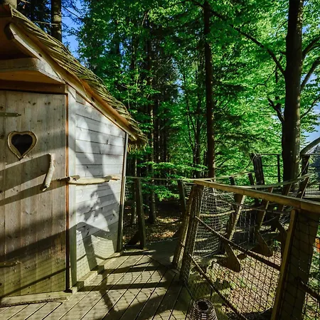 Treehouse Sumava *