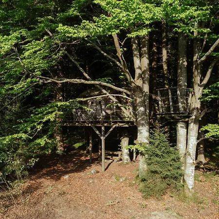 Luxury tent Treehouse Sumava Prachatice