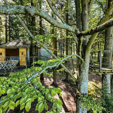Treehouse Sumava