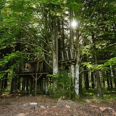 Treehouse Sumava Campismo de Luxo *