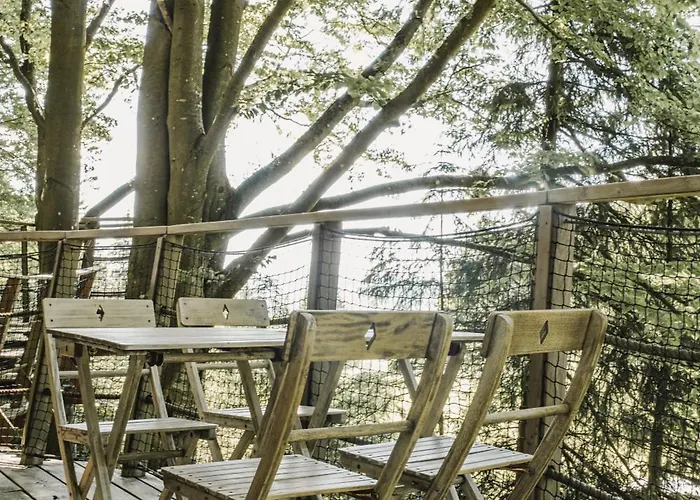 Treehouse Sumava