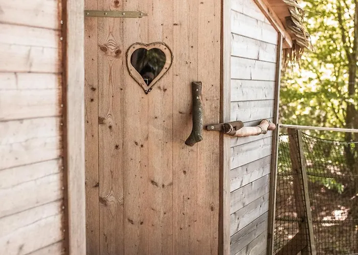 Treehouse Sumava * Prachatice