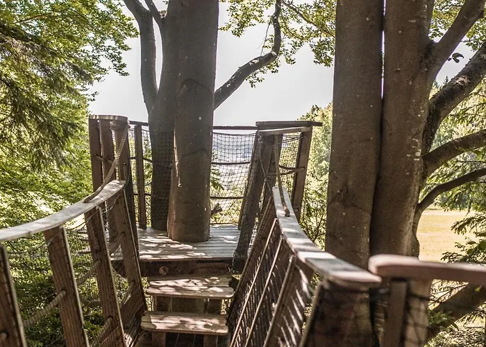 Treehouse Sumava Luxe tent