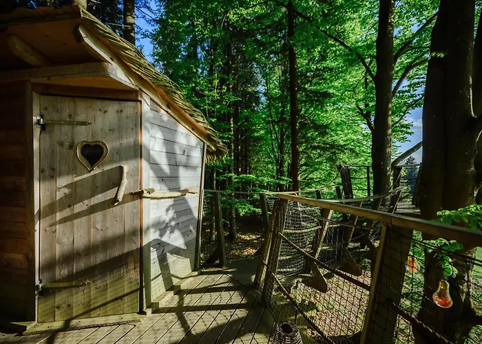 Treehouse šumava *