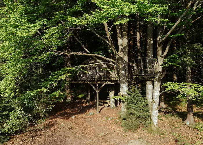 Luxe tent Treehouse Sumava Prachatice