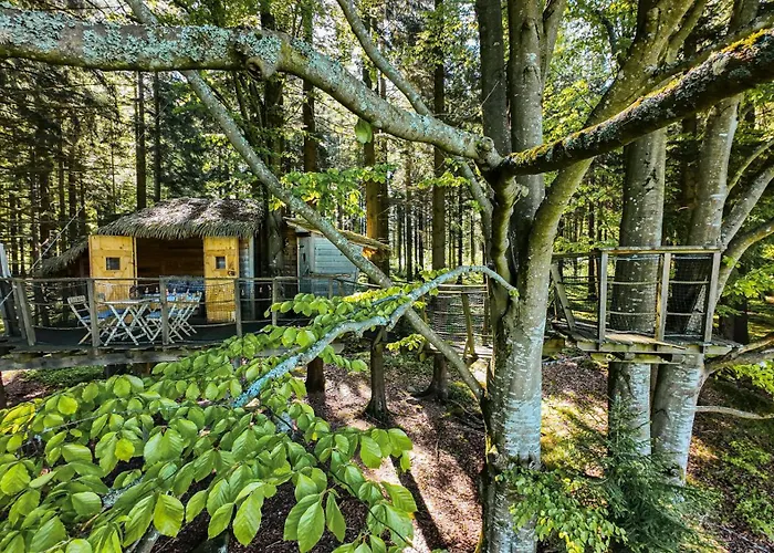 Treehouse šumava