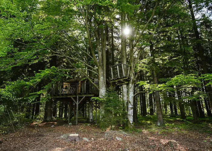 Treehouse šumava Luxusní stan *